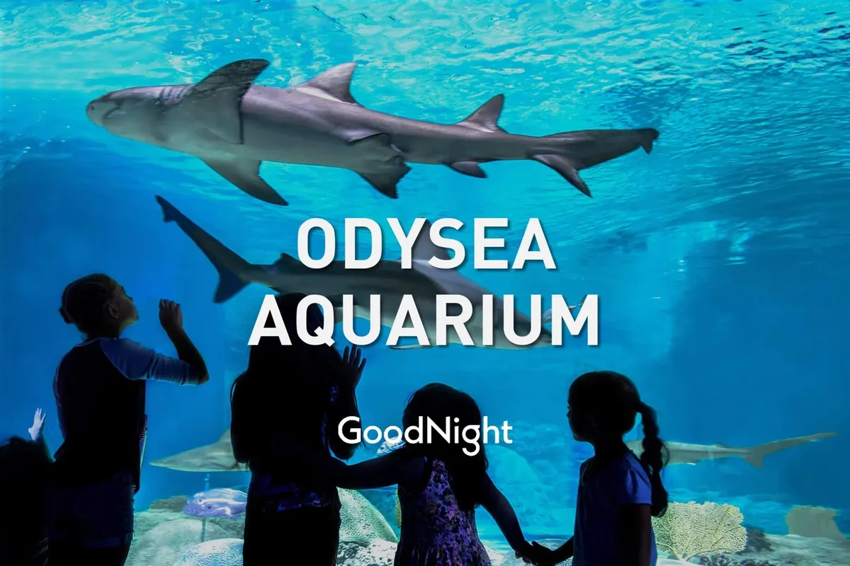 Inside an aquarium exhibit, children’s silhouettes gaze up in amazement as sharks swim overhead through vibrant blue water. The sense of discovery and togetherness is palpable, emphasizing family bonding and learning experiences.
